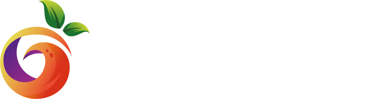 Mandarina Digital Studio